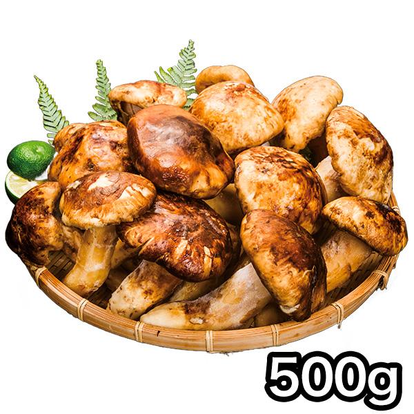 マツタケ まつたけ 天然 快適生活 天然高級 松茸開き 500g ひらき 開き