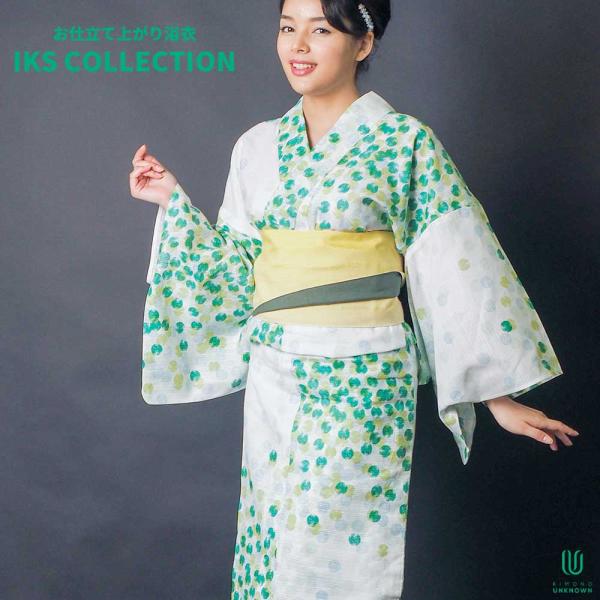 unknown529_unk100-005