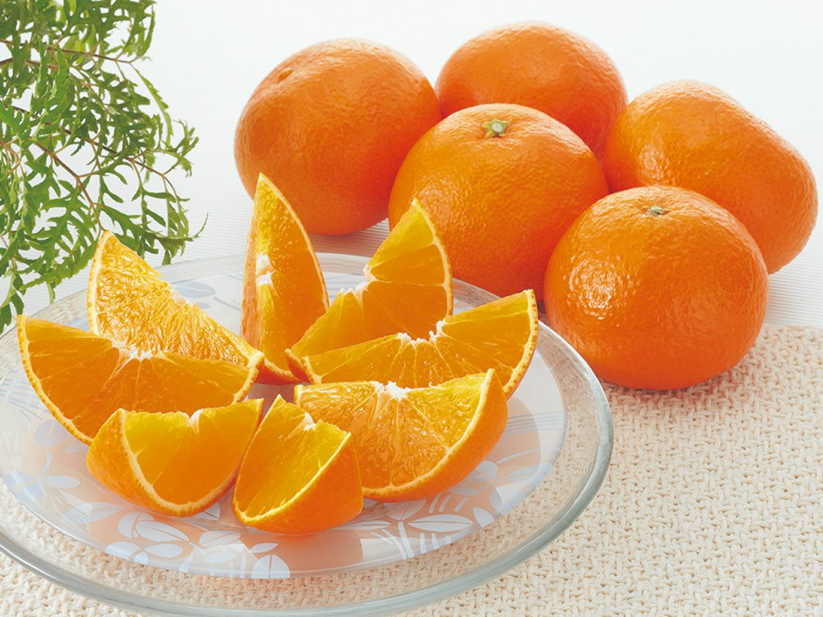 媛まどんな約1.2kg-家庭用 | のま果樹園