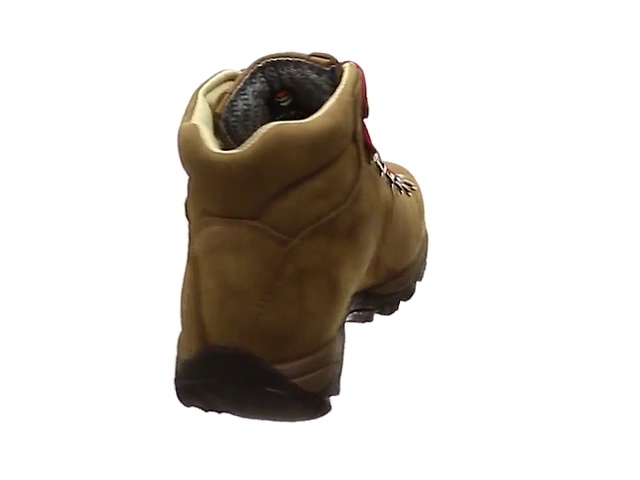 Amazon.com | Zamberlan - 320 Trail lite evo GTX WNS - Light Hiking