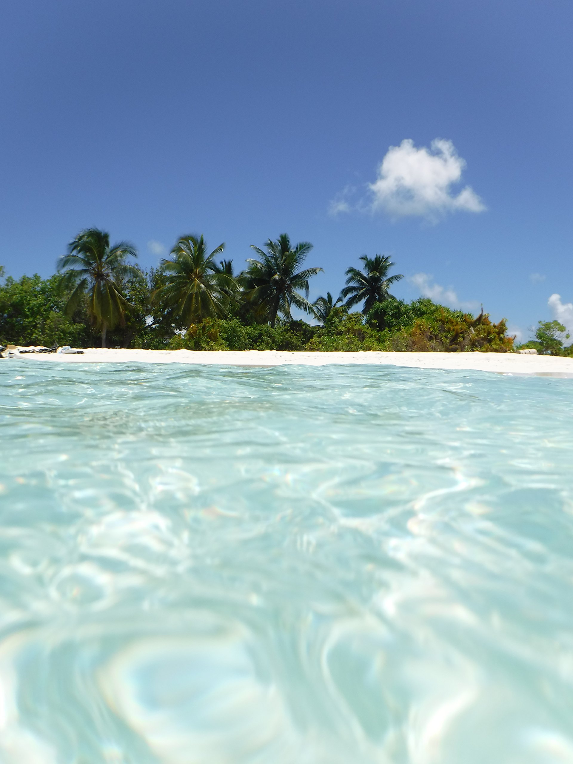 Amazon.co.jp: FUJIFILM コンパクトデジタルカメラ XP80 防水 ブラック