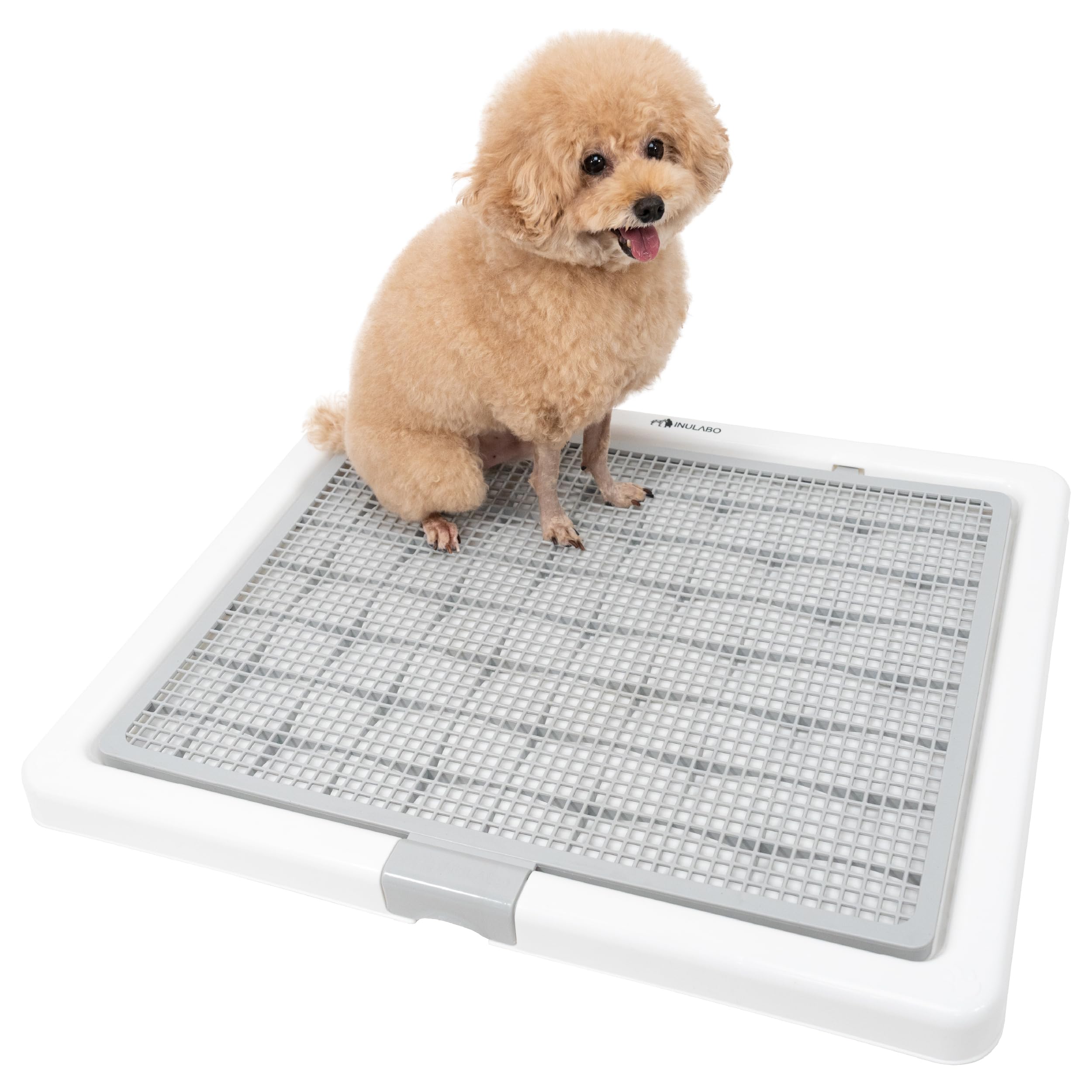 Amazon | INULABO(イヌラボ) 犬 トイレ トレー 高床式 大型犬 中型犬