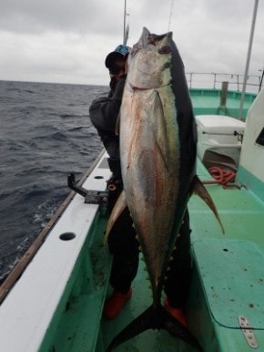 passions(パッションズ)/スペンサー Spenser 88M | ロッド | 【BASS