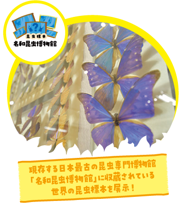 超昆虫博物館-スーパーこんちゅうミュージアム- in BOAT RACE 宮島