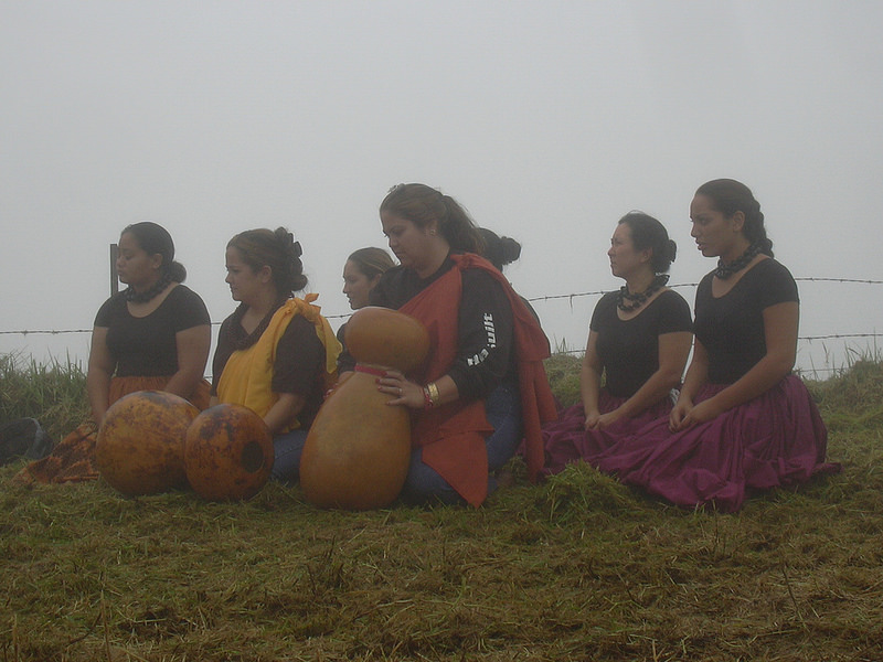 フラダンス～カヒコ(古典フラ)に必須！ハワイの伝統楽器、瓢箪から作っ