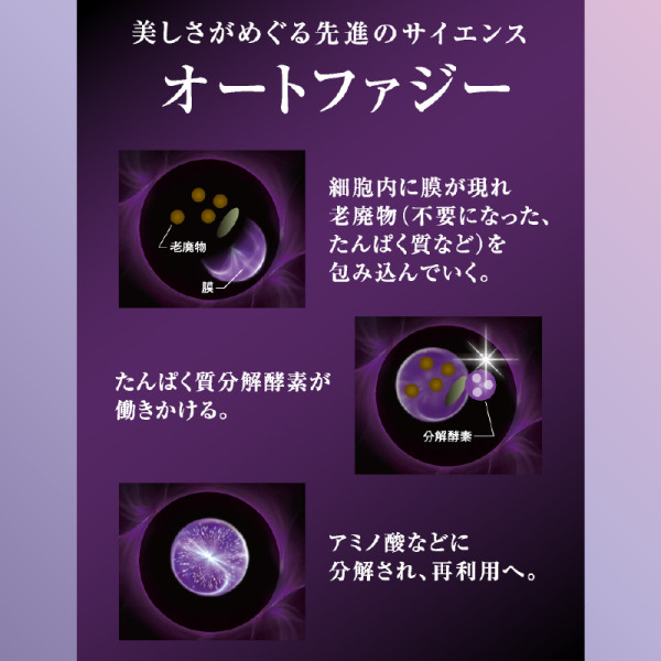 通常購入】エコルフィー アドバンスド ミルク | ナガセビューティケァ