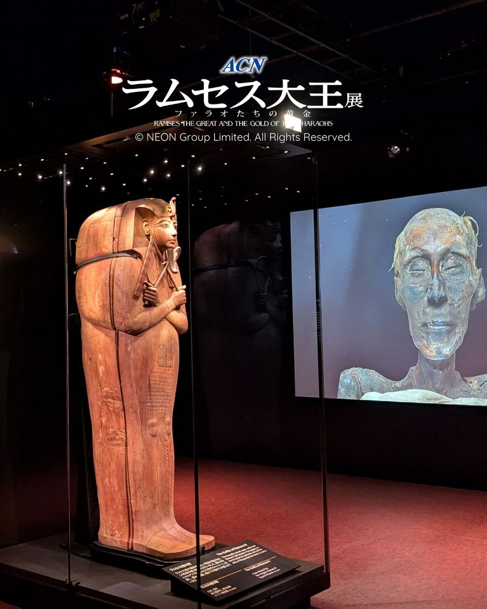 ラムセス大王展 の目玉👁 ⏳古代エジプト⌛️の大王が眠った棺