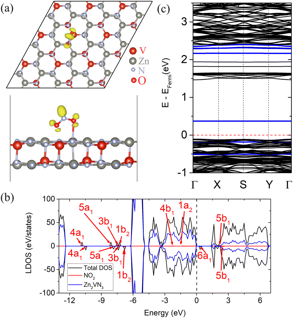 Atomic insights into the interaction of N 2 , CO 2 , NH 3 , NO