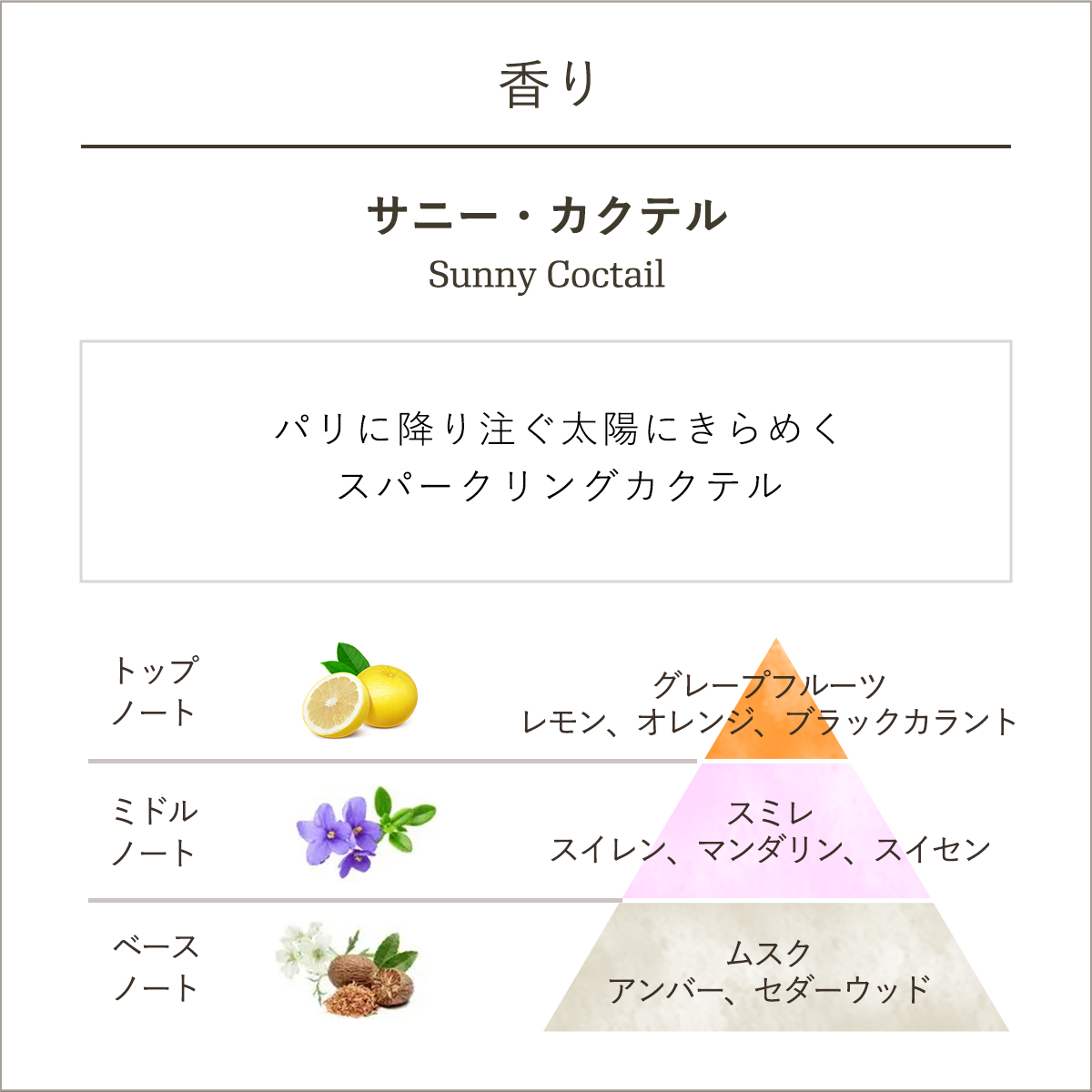 トータルボディケアキット (サニー・カクテル)』 | SABON (サボン)