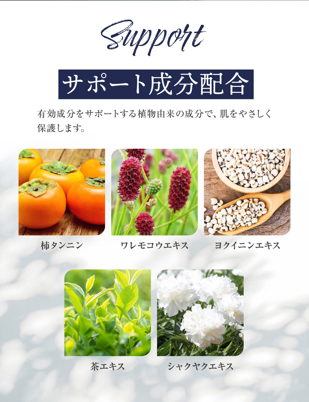 Mr.GINO（ミスタージーノ） デオドラントクリーム 薬用 制汗剤 無香料