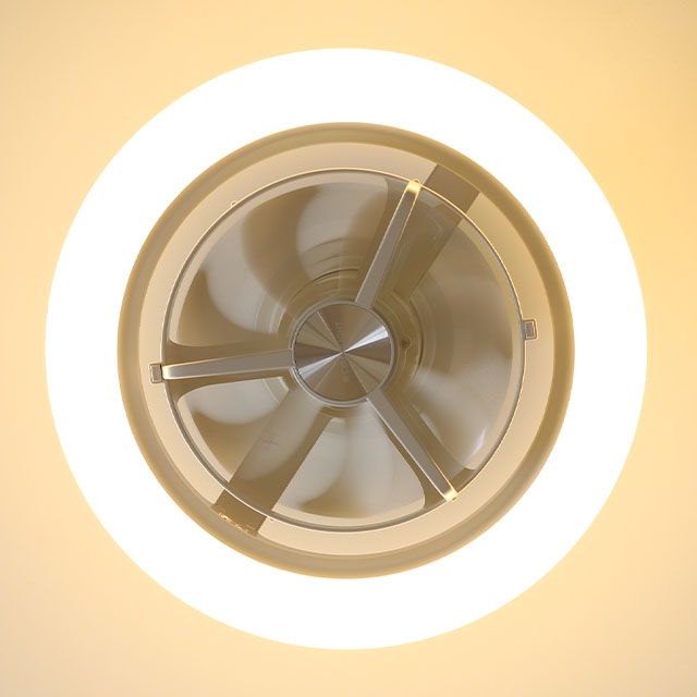 DOSHISHA（ドウシシャ） 選べる豪華特典 サーキュライト EZシリーズ