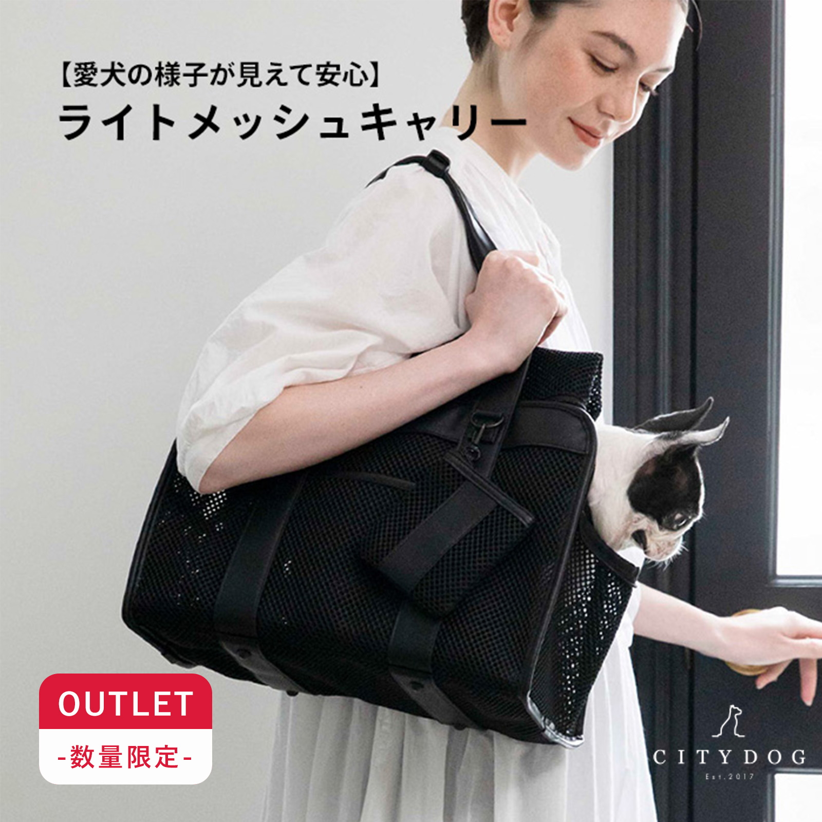 CITYDOG（シティドッグ） 犬 キャリーバッグ トート キャリー ケース