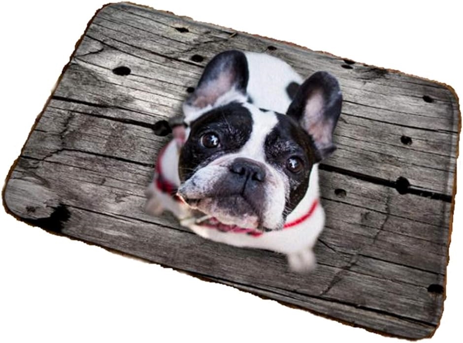玄関 マット フレンチ ブルドッグ 見上げる わんこ ワンちゃん 犬