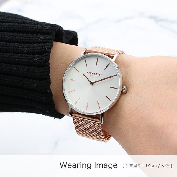 互換品】コーチ 対応 ミラネーゼ メッシュ ストラップ COACH 時計
