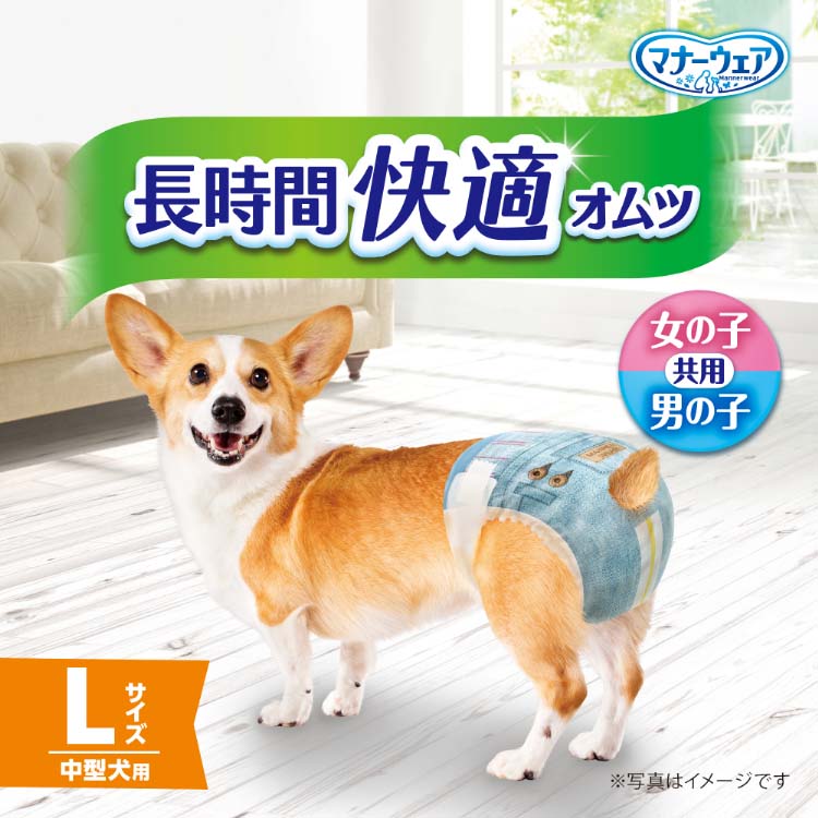 マナーウェア長時間快適オムツ男女共用L ( 26枚入 )/ マナーウエア