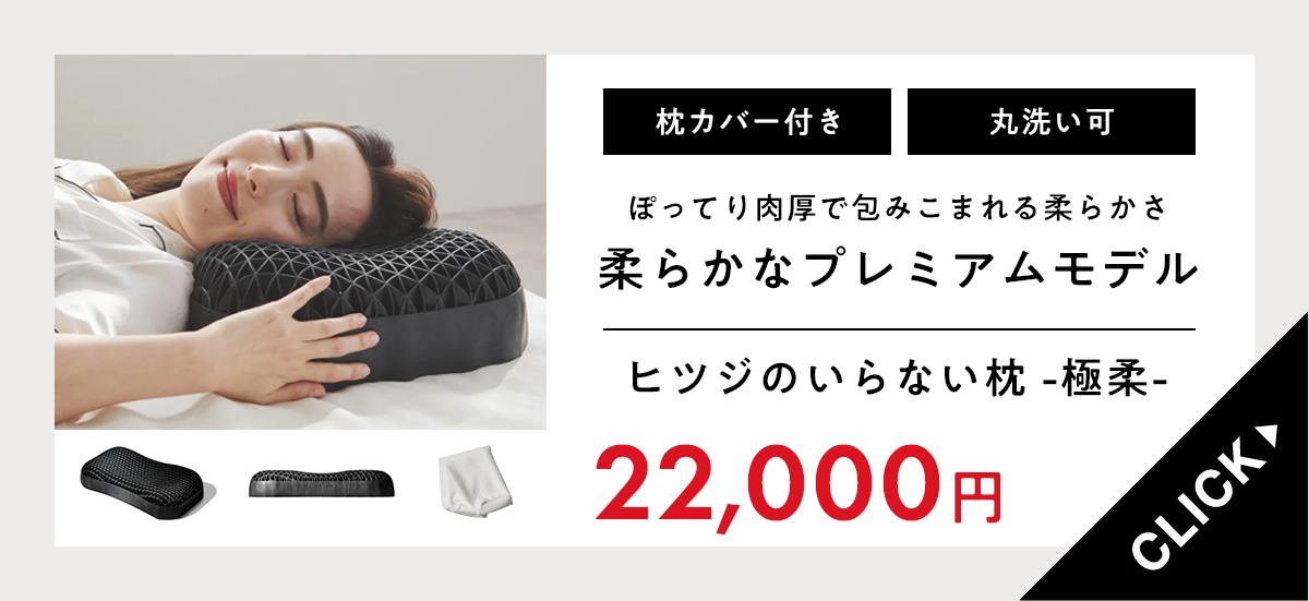 ヒツジのいらない枕 ZIPで放送！ 枕 カバー付 至極 まくら 肩こり