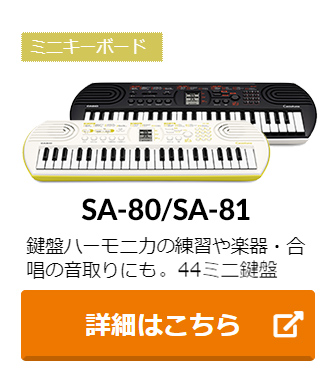 CASIO（カシオ） 別売ラッピング袋あり CT-S300 ブラック 61鍵盤 強弱