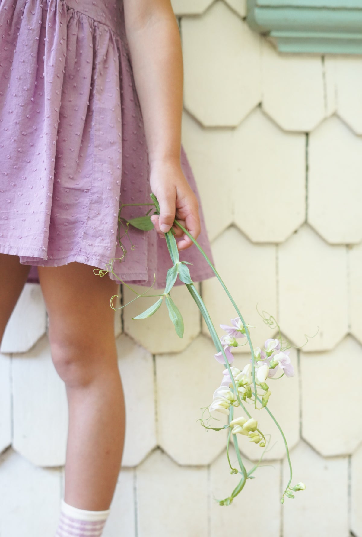 Birdie Tunic, Zinnia – Soor Ploom