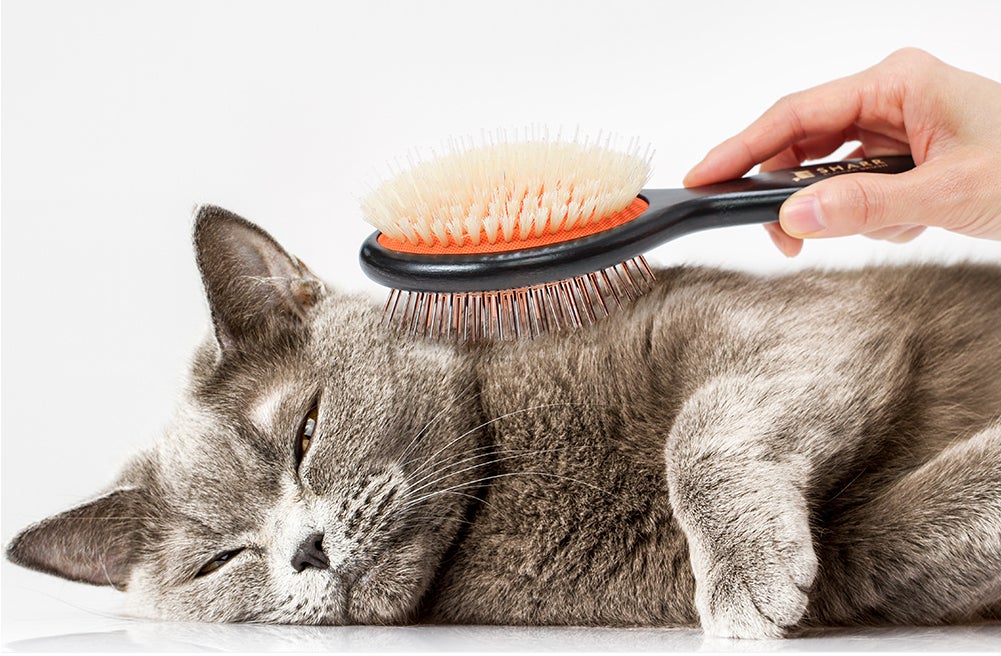 ペットのもつれた毛の整理とクーリングケアを同時に！オールインワン