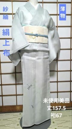 未使用美品 紗紬 絹上布 訪問着 丈157.5 裄67 ガード加工 居敷当て付き