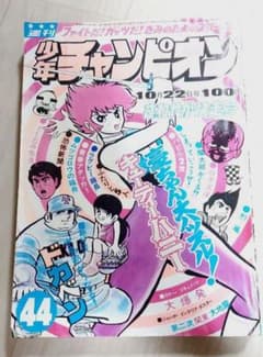 m37781830732_1.jpg?1729610010