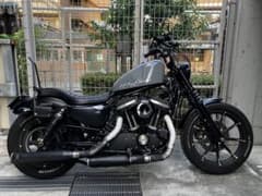 m55127032722_1.jpg?1714968367