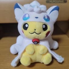 アローラロコン ポンチョ ピカチュウ ぬいぐるみ ポケモンセンター限定