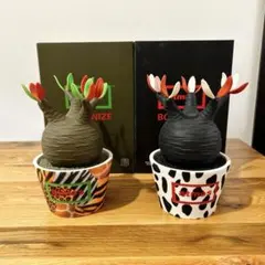 2026年最新】medicom toy グラキリスの人気アイテム - メルカリ