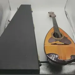 2026年最新】鈴木バイオリン マンドリンの人気アイテム - メルカリ