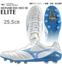 2026年最新】モレリアネオ3 アズールブルーの人気アイテム - メルカリ