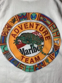 2026年最新】マルボロトカゲの人気アイテム - メルカリ