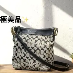 2026年最新】コーチ 12594の人気アイテム - メルカリ