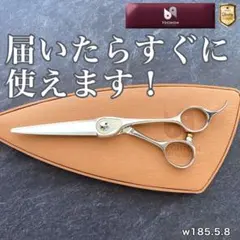 2026年最新】トギノンの人気アイテム - メルカリ