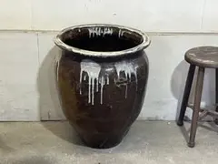 2026年最新】甕 メダカの人気アイテム - メルカリ