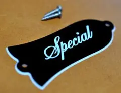 2026年最新】ロッドカバー gibsonの人気アイテム - メルカリ