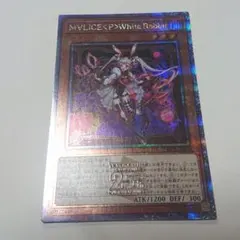 2026年最新】マリスポーンホワイトラビット 25thの人気アイテム - メルカリ