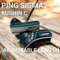 2026年最新】ピン シグマ2 kushinの人気アイテム - メルカリ