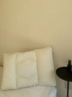 2026年最新】エアウィーヴ クッションの人気アイテム - メルカリ