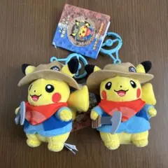 2026年最新】発掘ピカチュウの人気アイテム - メルカリ