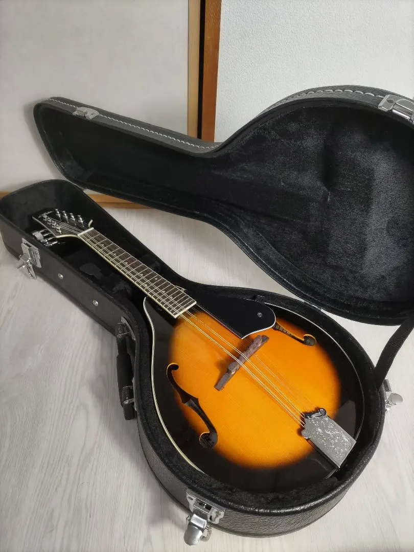 2026年最新】フラット・マンドリンの人気アイテム - メルカリ