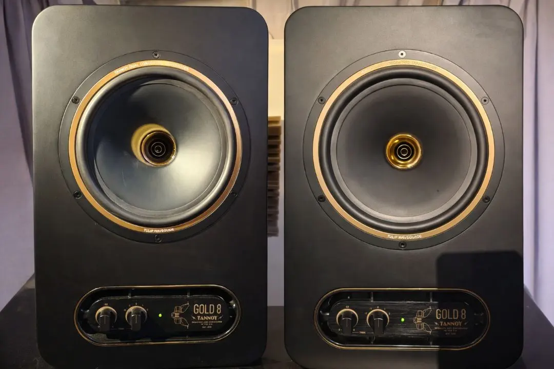 2026年最新】tannoy goldの人気アイテム - メルカリ