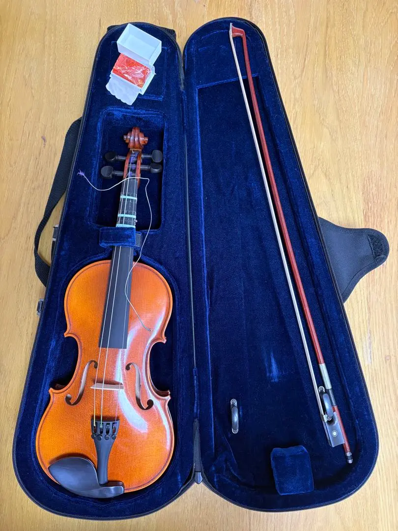 2026年最新】HORA バイオリンの人気アイテム - メルカリ