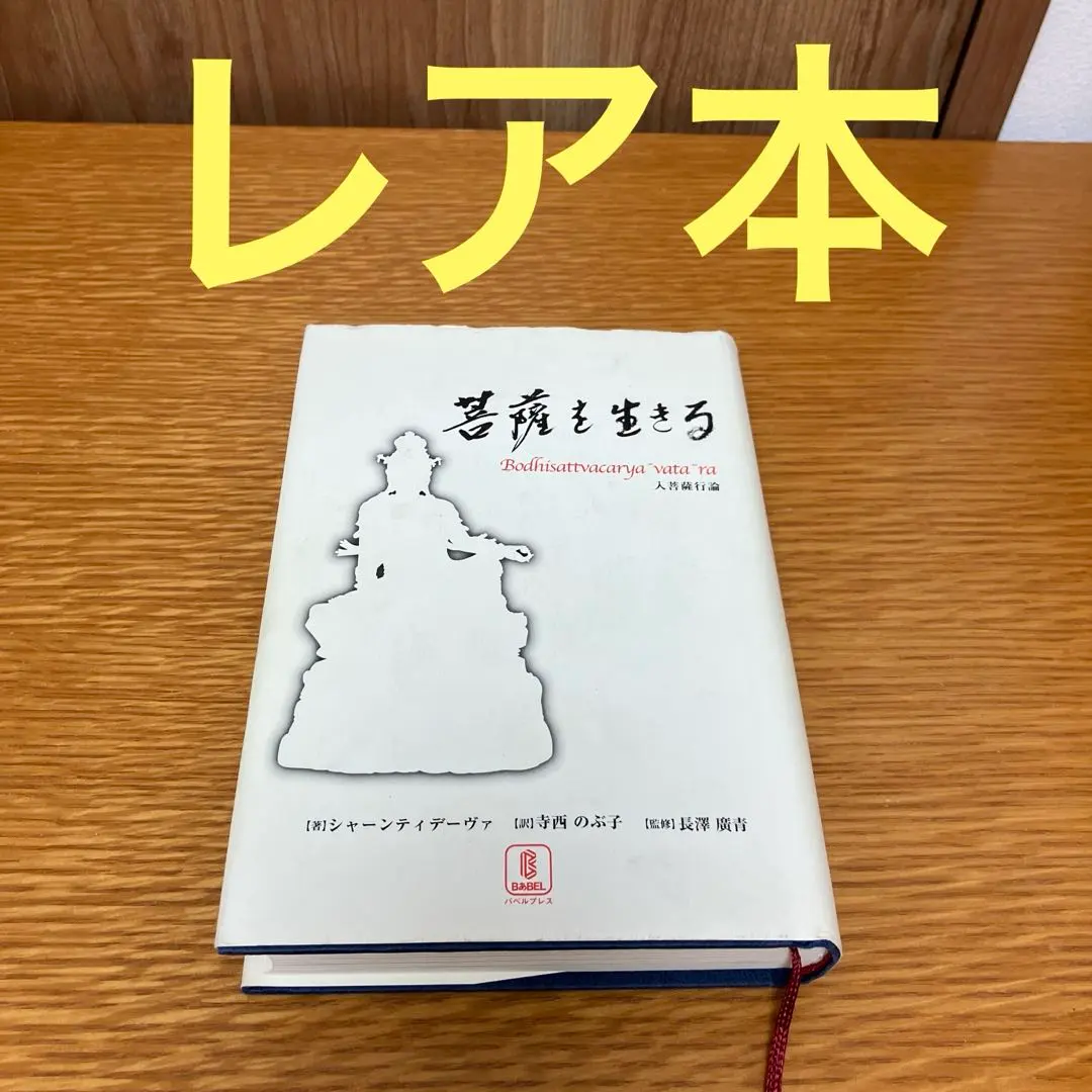 2026年最新】菩薩を生きる 入菩薩行論の人気アイテム - メルカリ