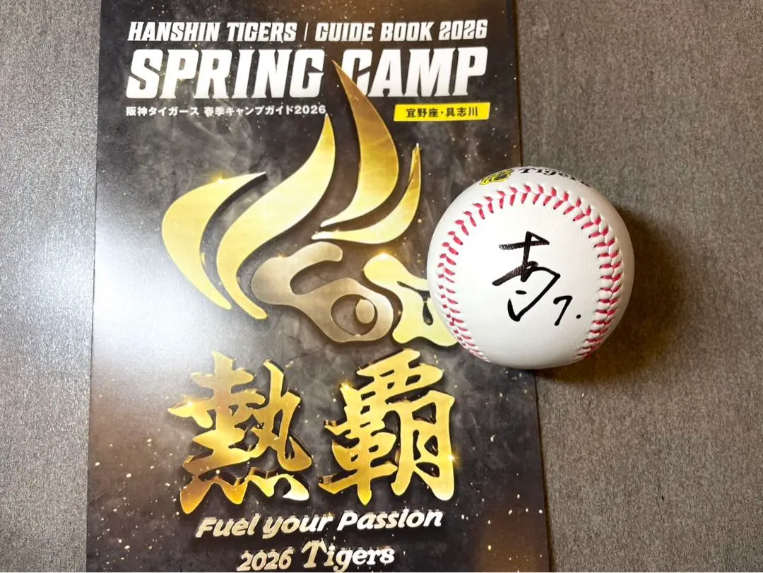 2026年最新】中野拓夢サインボールの人気アイテム - メルカリ