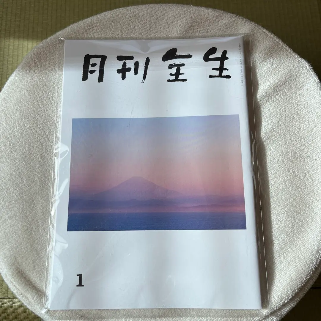 2026年最新】月刊全生の人気アイテム - メルカリ