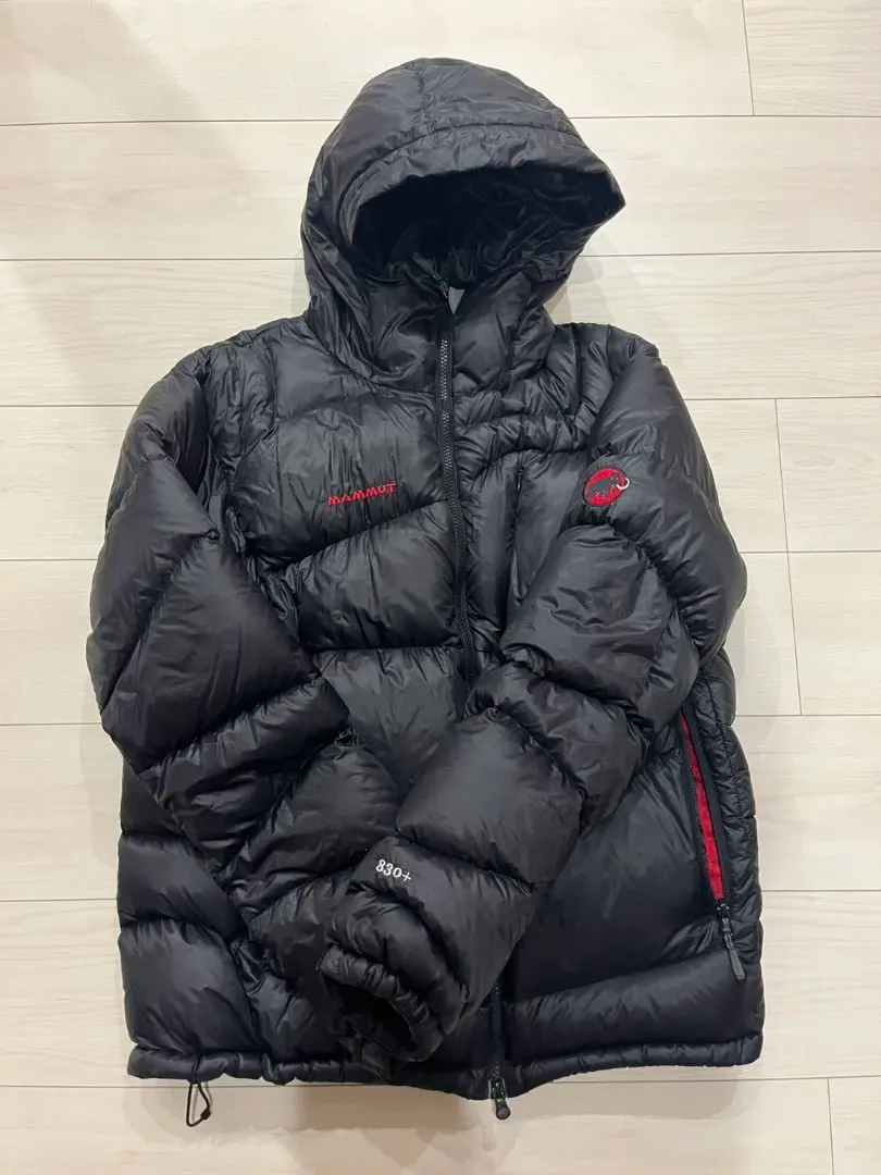 2026年最新】マムート アトラス フーデッド ダウンの人気アイテム