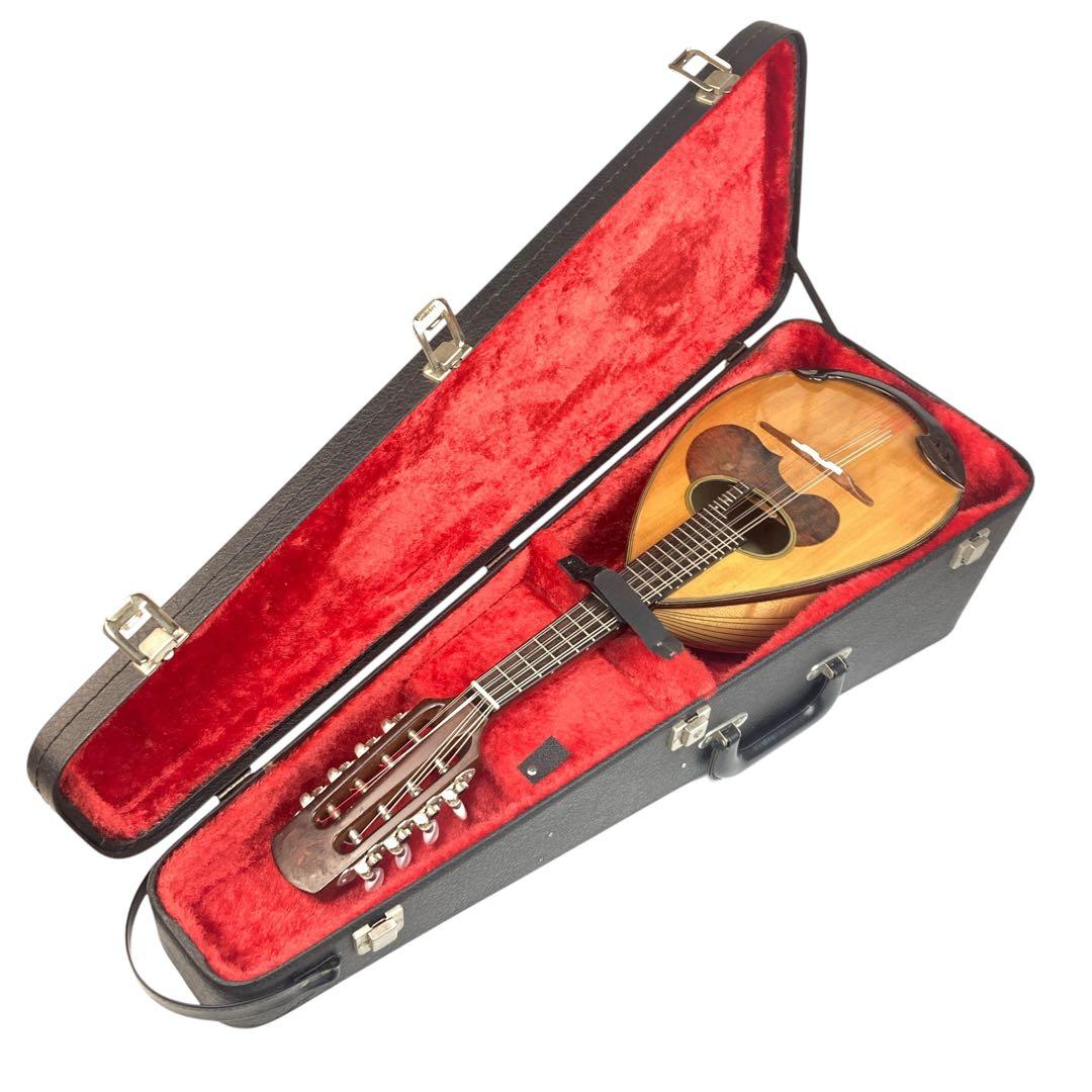 スズキ マンドリン M-30 8弦 鈴木バイオリン製 珍しい縦型ハードケース付き 美品】SUZUKI M-30 マンドリン スズキ ハードケース付き ⑨ - メルカリ