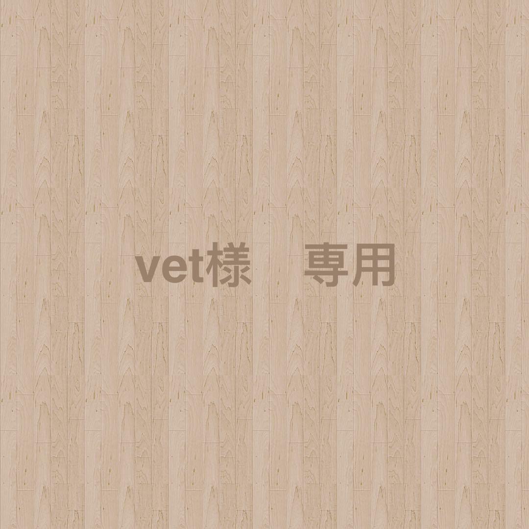 vet Spitz GTX PRO Jacket Women – UPLNDオンラインストア