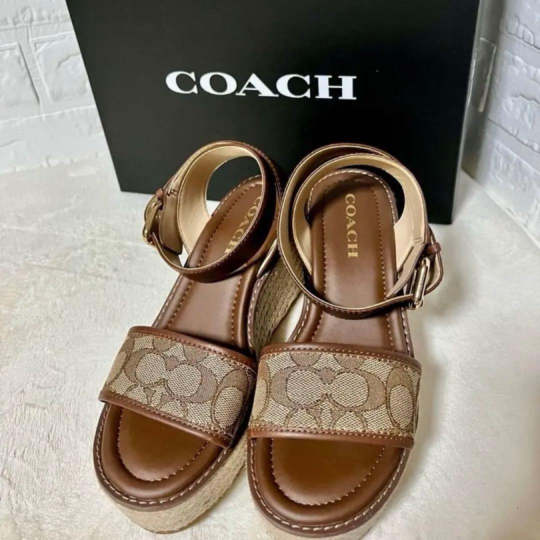 美品❤COACH コーチ エスパドリーユ 24cmサンダル ウェッジソール 箱 楽天市場】コーチ サンダル（レディース靴｜靴）の通販
