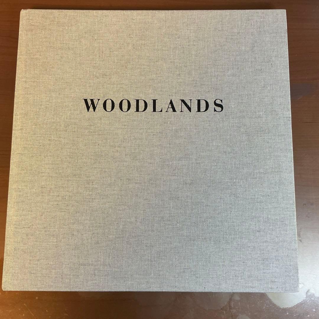 (初版 ) WOODLANDS: MAT HENNEK (洋書) Mat Hennek: Silent Cities | Art Book Iskusstvo